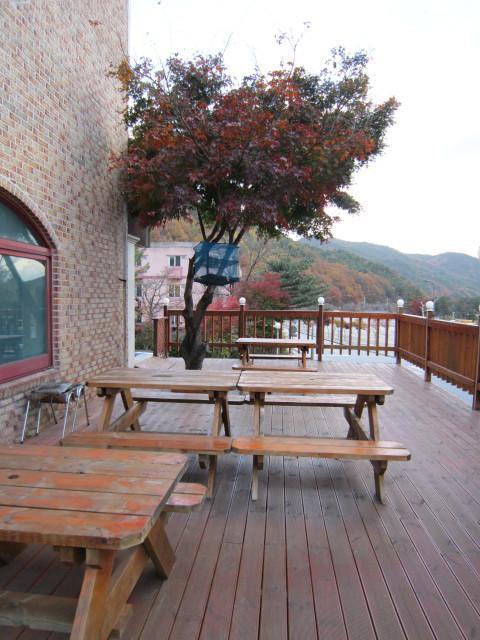 Songwol Park Motel Sokcho Buitenkant foto